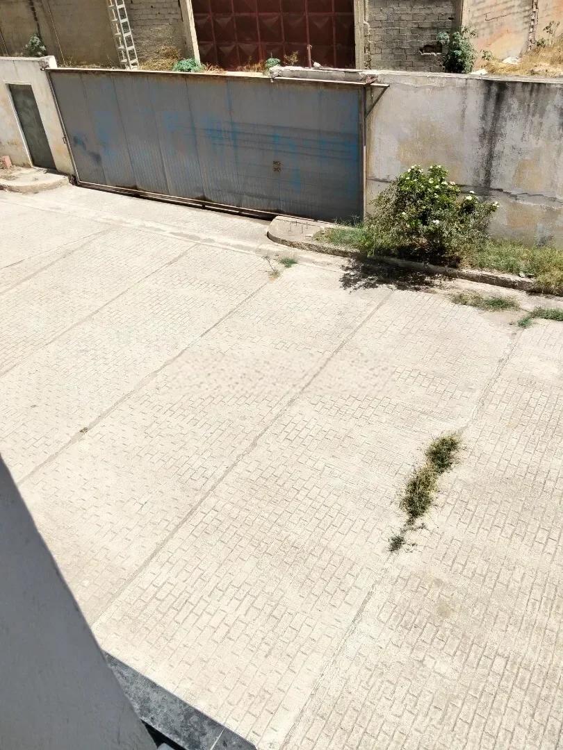 Vente Hangar - Usine Tipaza Douaouda - photo 1