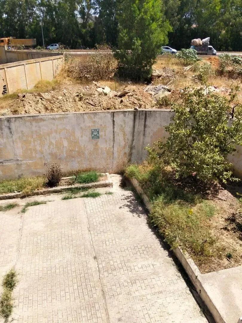 Vente Hangar - Usine Tipaza Douaouda - photo 3