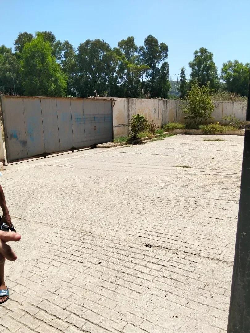 Vente Hangar - Usine Tipaza Douaouda - photo 6