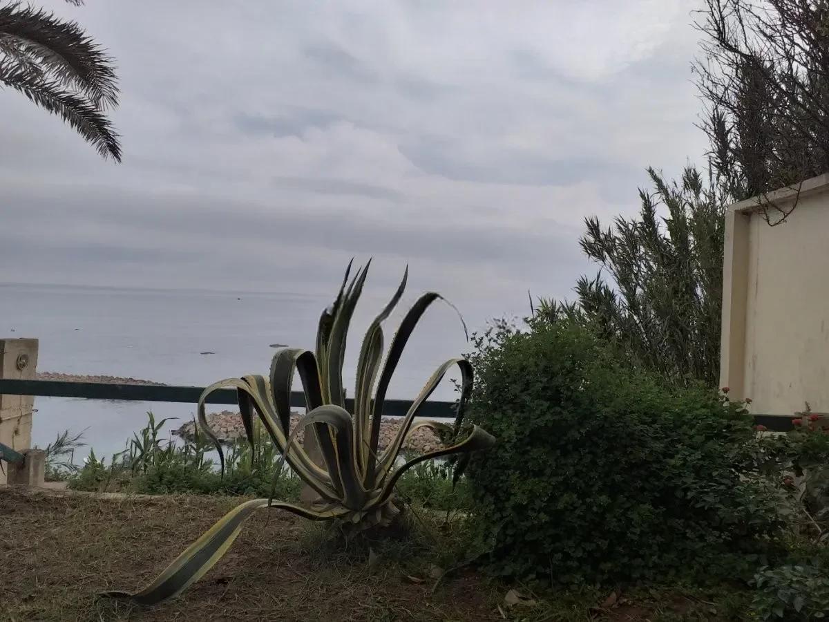 Vente Villa Alger Ain taya - photo 6