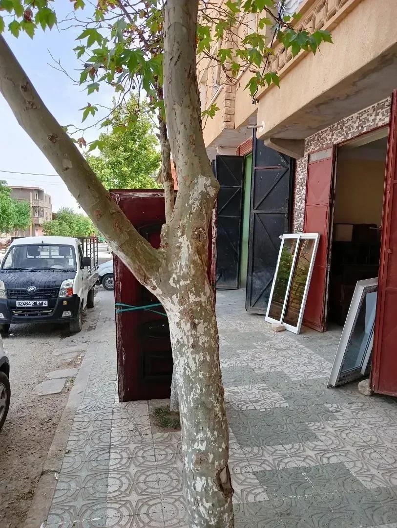 Vente Villa Tiaret Sougueur - photo 3