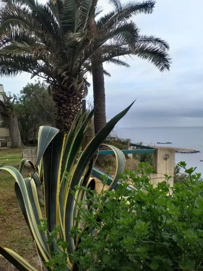 Vente Villa Alger Ain taya - photo 5