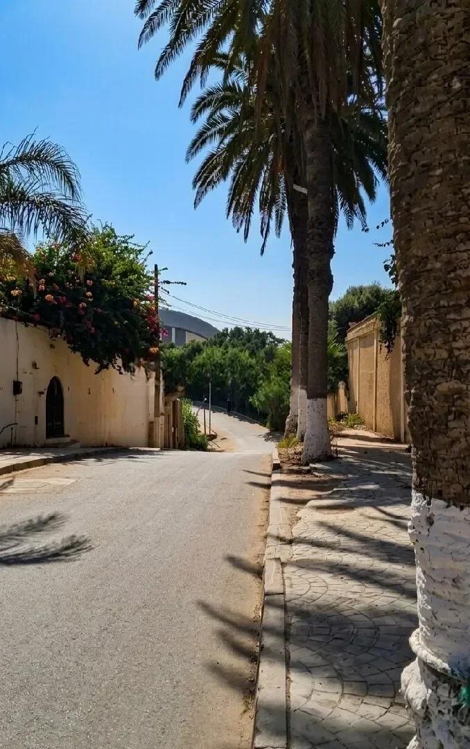 Vente Appartement F2 Alger Ain taya - photo 2