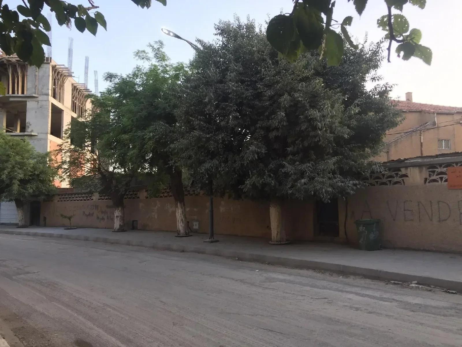 Vente Terrain Batna Batna - photo 1